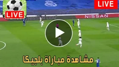 مشاهدة مباراة بلجيكا اليوم Belgium Live